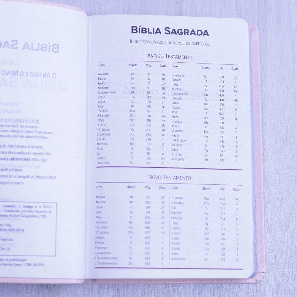 Bíblia Sagrada | ARC | Letra Normal | Capa Luxo Rosa Claro