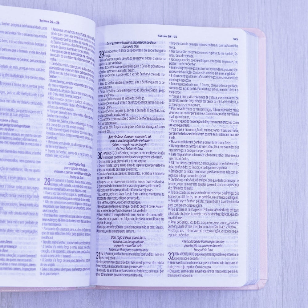 Bíblia Sagrada | ARC | Letra Normal | Capa Luxo Rosa Claro
