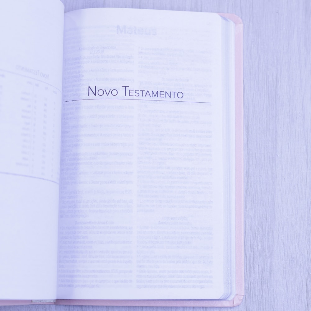 Bíblia Sagrada | ARC | Letra Normal | Capa Luxo Rosa Claro