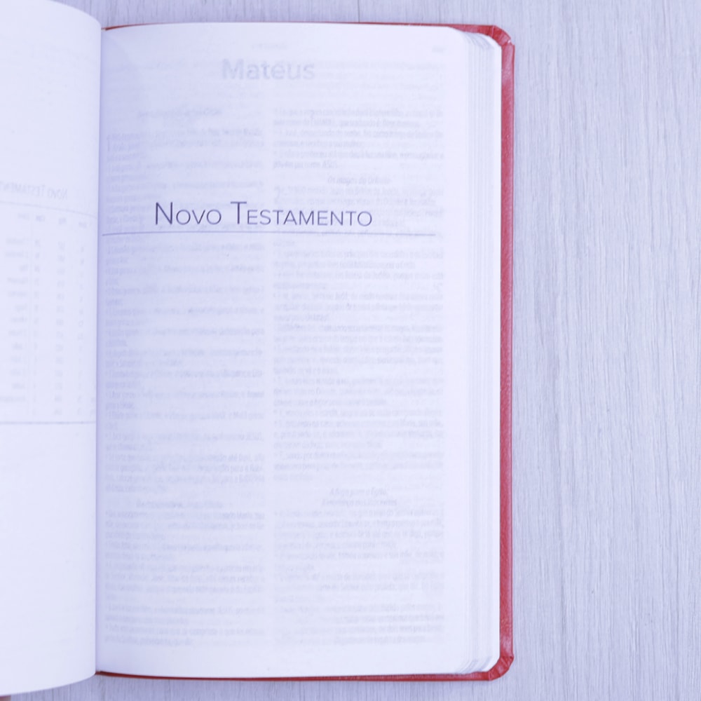 Bíblia Sagrada | ARC | Letra Normal | Capa Luxo Vermelha