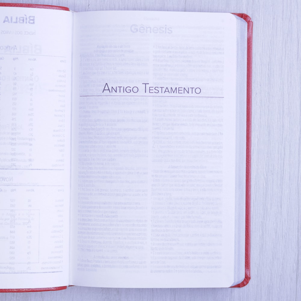 Bíblia Sagrada | ARC | Letra Normal | Capa Luxo Vermelha