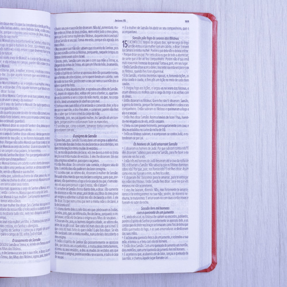 Bíblia Sagrada | ARC | Letra Normal | Capa Luxo Vermelha