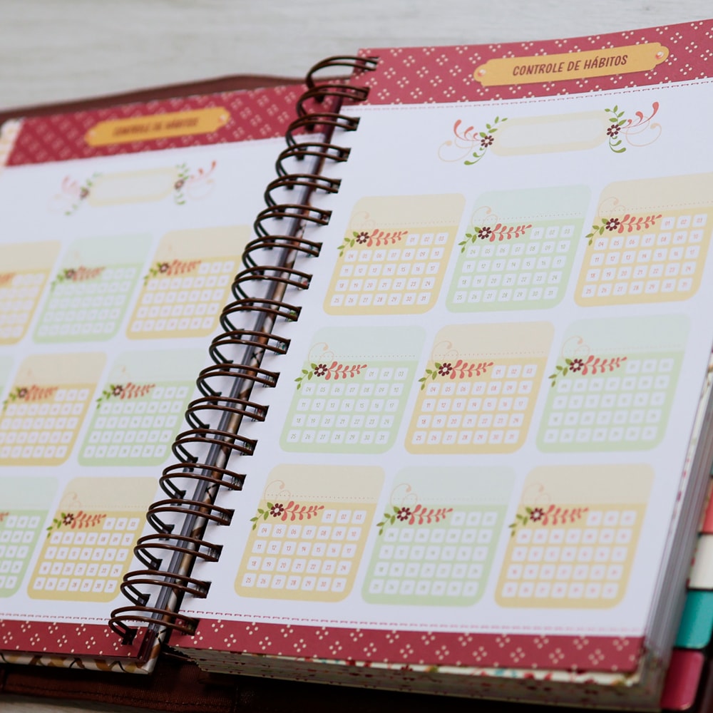 Meu Plano Perfeito | Capa Dura Couro Soft Xadrez