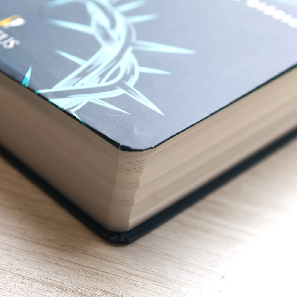 Biblia 365 |  NVT | Edição Católica