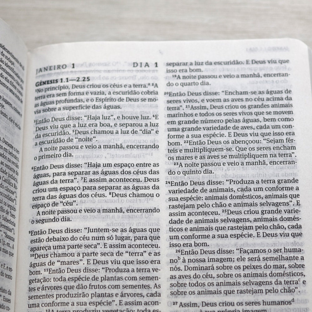 Biblia 365 |  NVT | Edição Católica