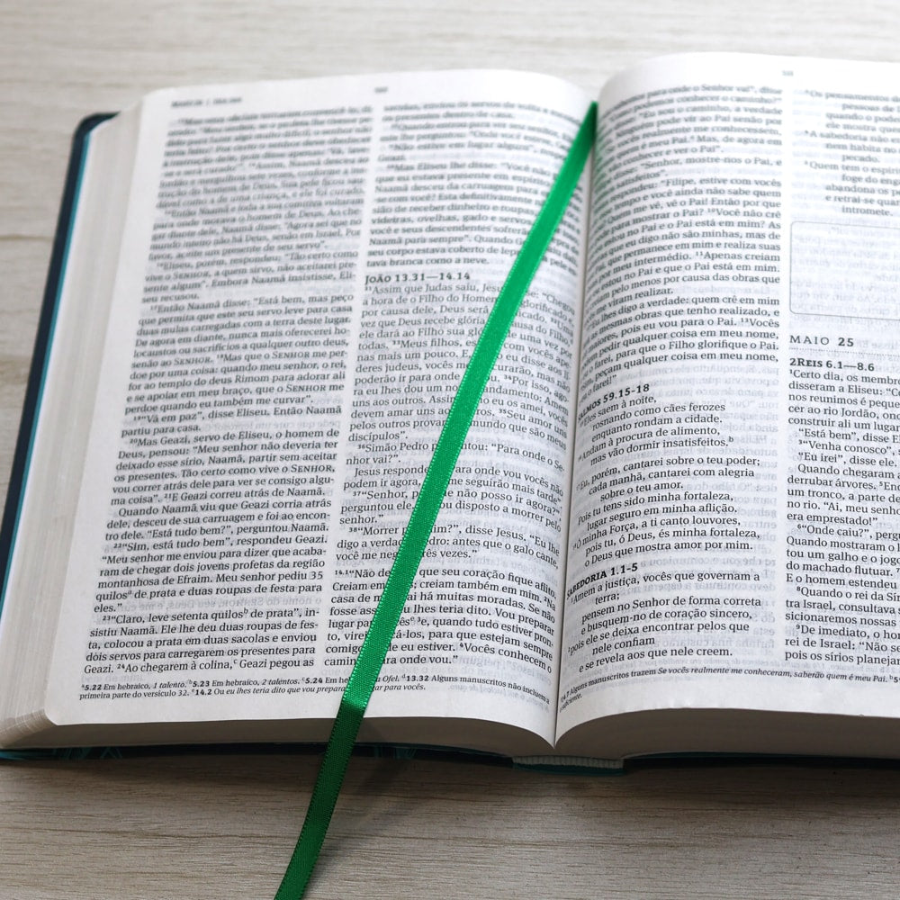 Biblia 365 |  NVT | Edição Católica