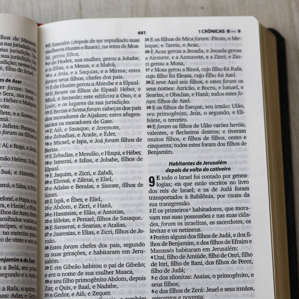 Bíblia Sagrada com Harpa Cristã | ARC | Letra Grande | Capa Luxo Floral Preta