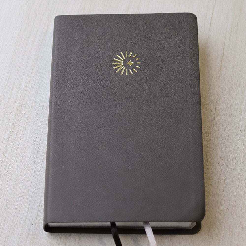 Bíblia 365  Dia e Noite | Letra Normal | NAA | Capa Cinza Luxo