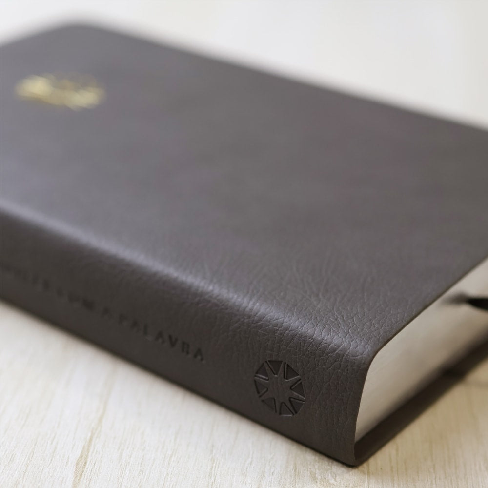 Bíblia 365  Dia e Noite | Letra Normal | NAA | Capa Cinza Luxo