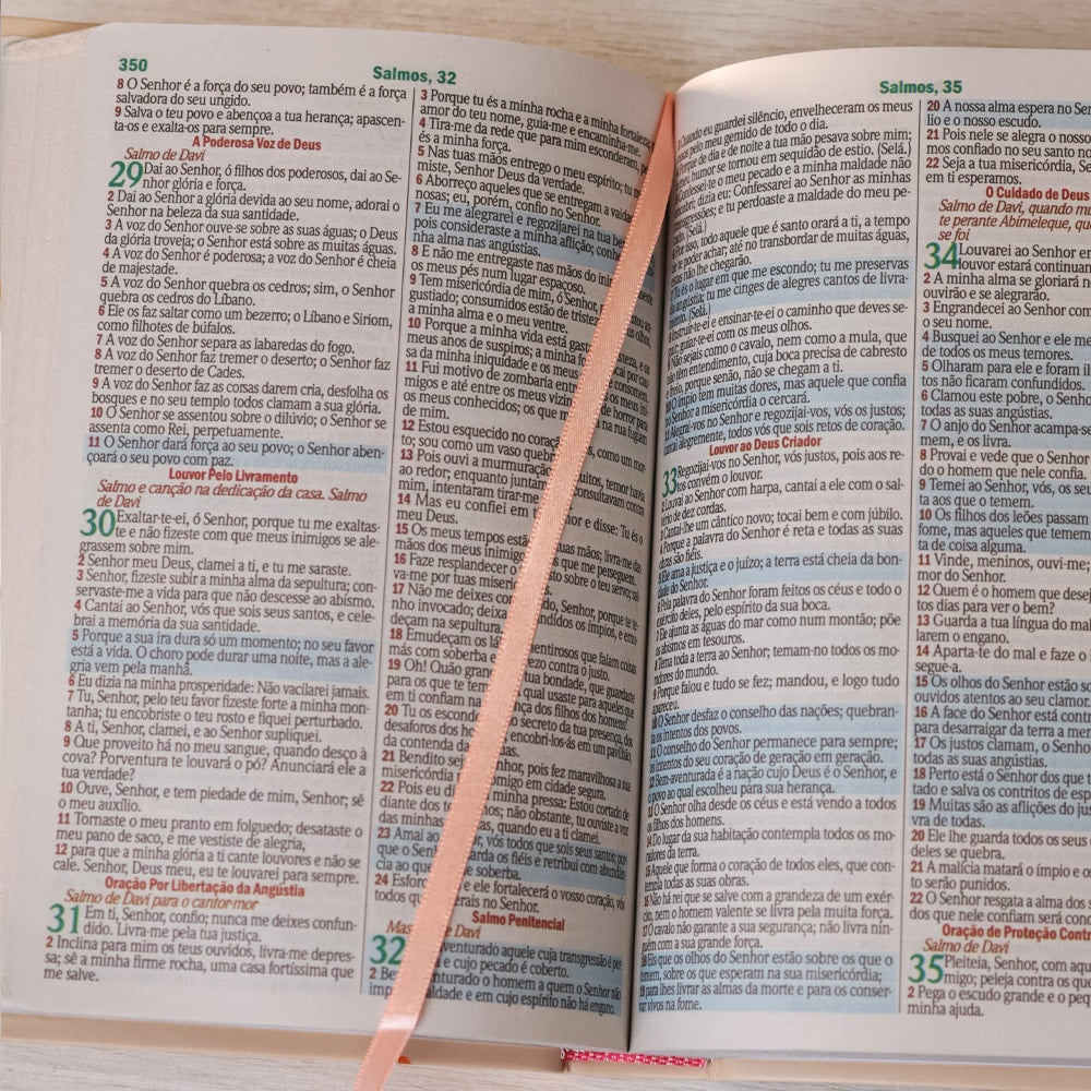 Bíblia Sagrada | Letra Gigante | ARC | Harpa Avivada e Corinhos | Capa PU Luxo Rosê e Laranja