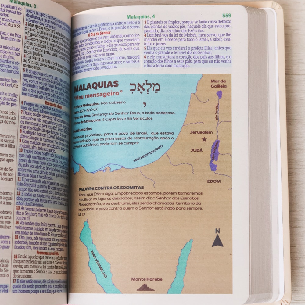 Bíblia Sagrada | Letra Gigante | ARC | Harpa Avivada e Corinhos | Capa PU Luxo Rosê e Pink