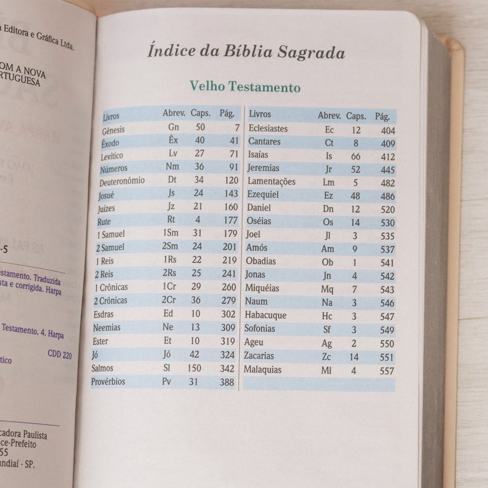 Bíblia Sagrada | Letra Gigante | ARC | Harpa Avivada e Corinhos | Capa PU Luxo Rosê e Pink