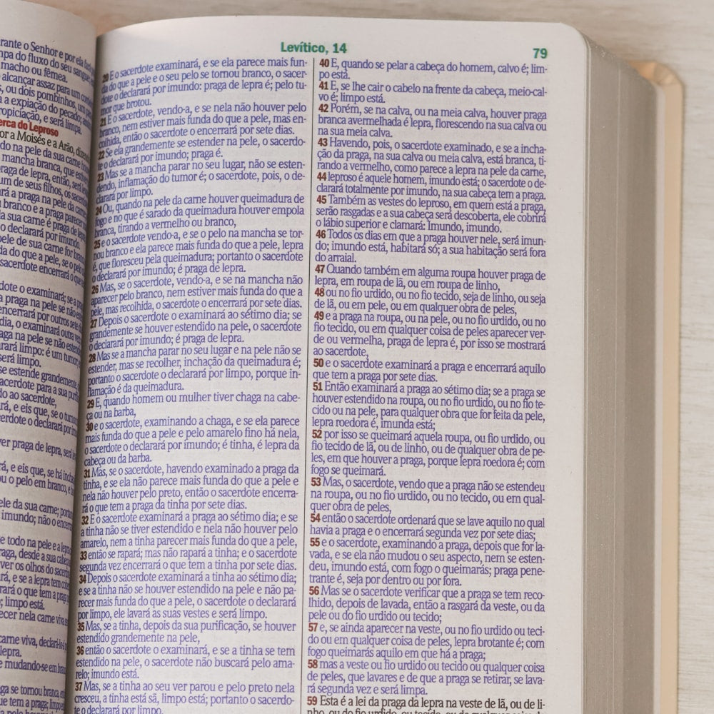 Bíblia Sagrada | Letra Gigante | ARC | Harpa Avivada e Corinhos | Capa PU Luxo Rosê e Pink