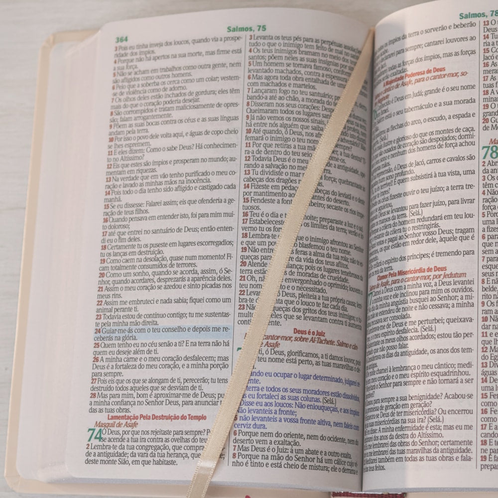 Bíblia Sagrada | Letra Gigante | ARC | Harpa Avivada e Corinhos | Capa PU Luxo Rosê e Pink