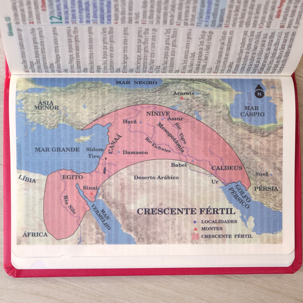 Bíblia Sagrada | Letra Hipergigante | ARC | Harpa Avivada e Corinhos | Capa PU Luxo Floral Dália Pin