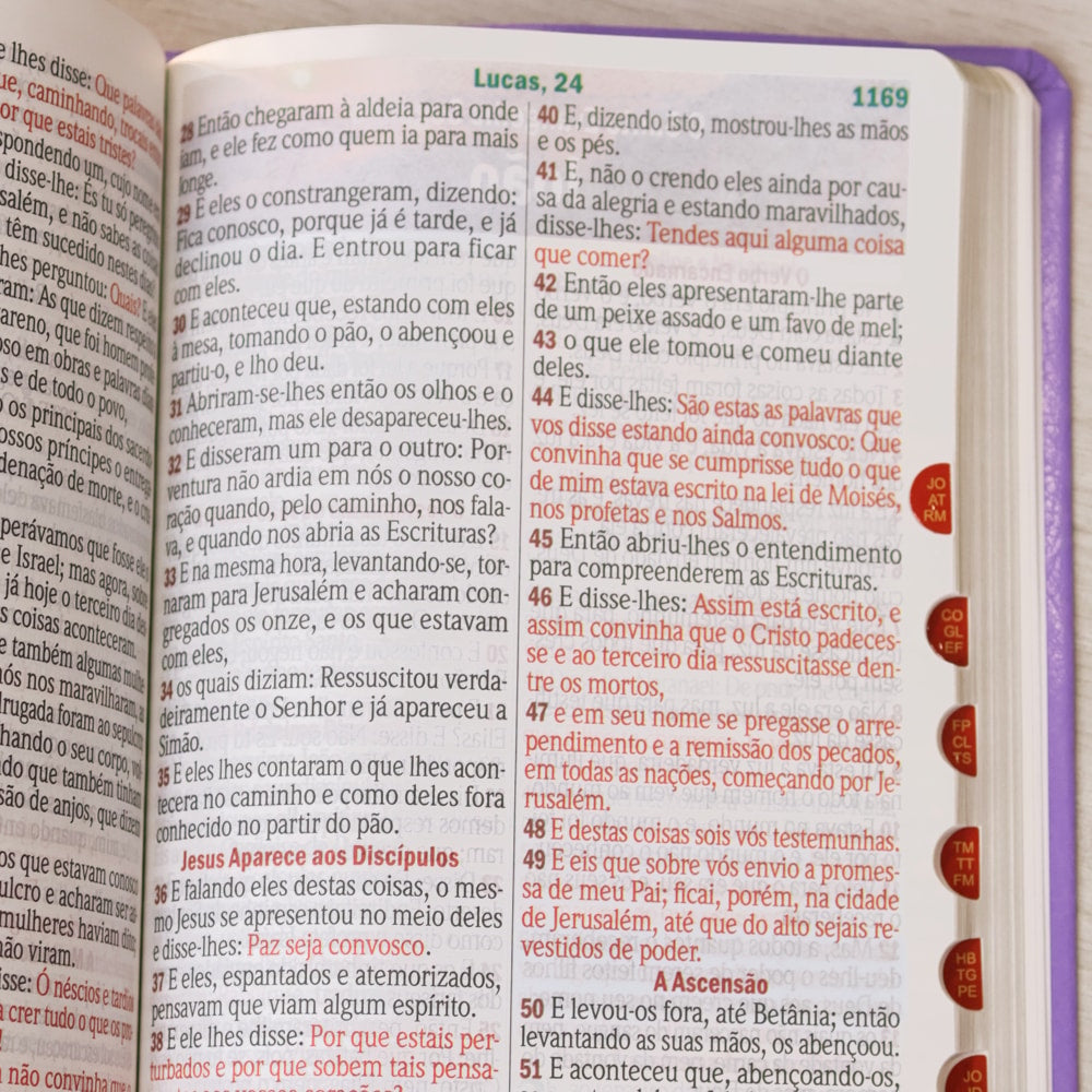 Bíblia Sagrada | Letra Hipergigante | ARC | Harpa Avivada e Corinhos | Capa PU Luxo Floral Margarida Lilás