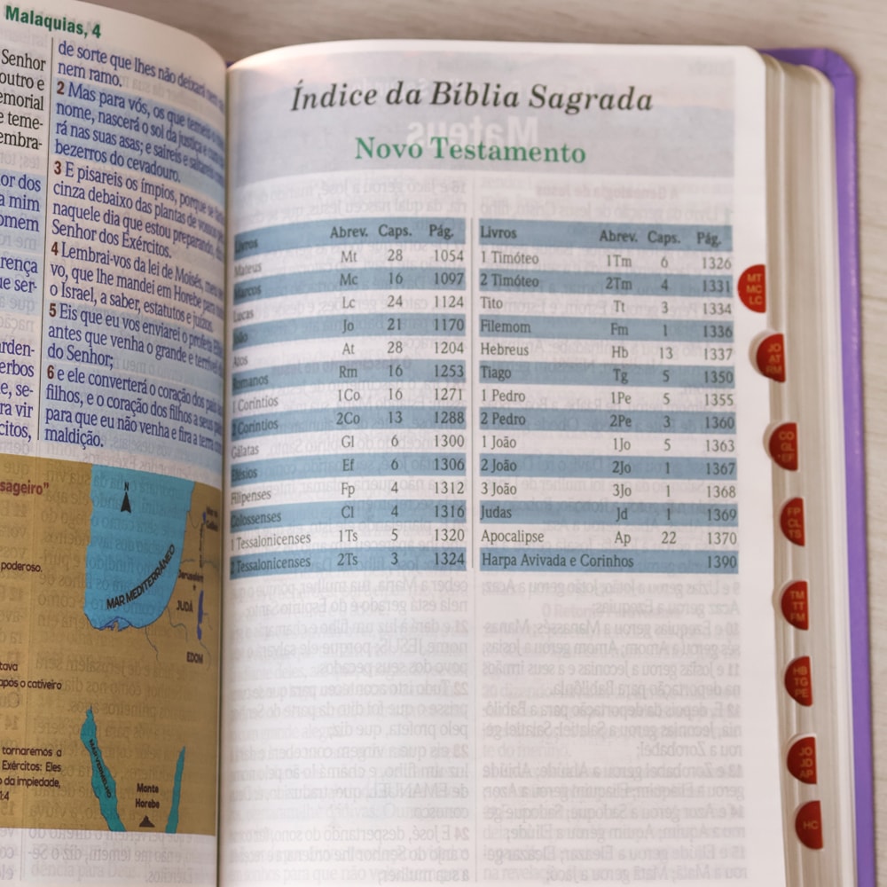 Bíblia Sagrada | Letra Hipergigante | ARC | Harpa Avivada e Corinhos | Capa PU Luxo Floral Margarida Lilás
