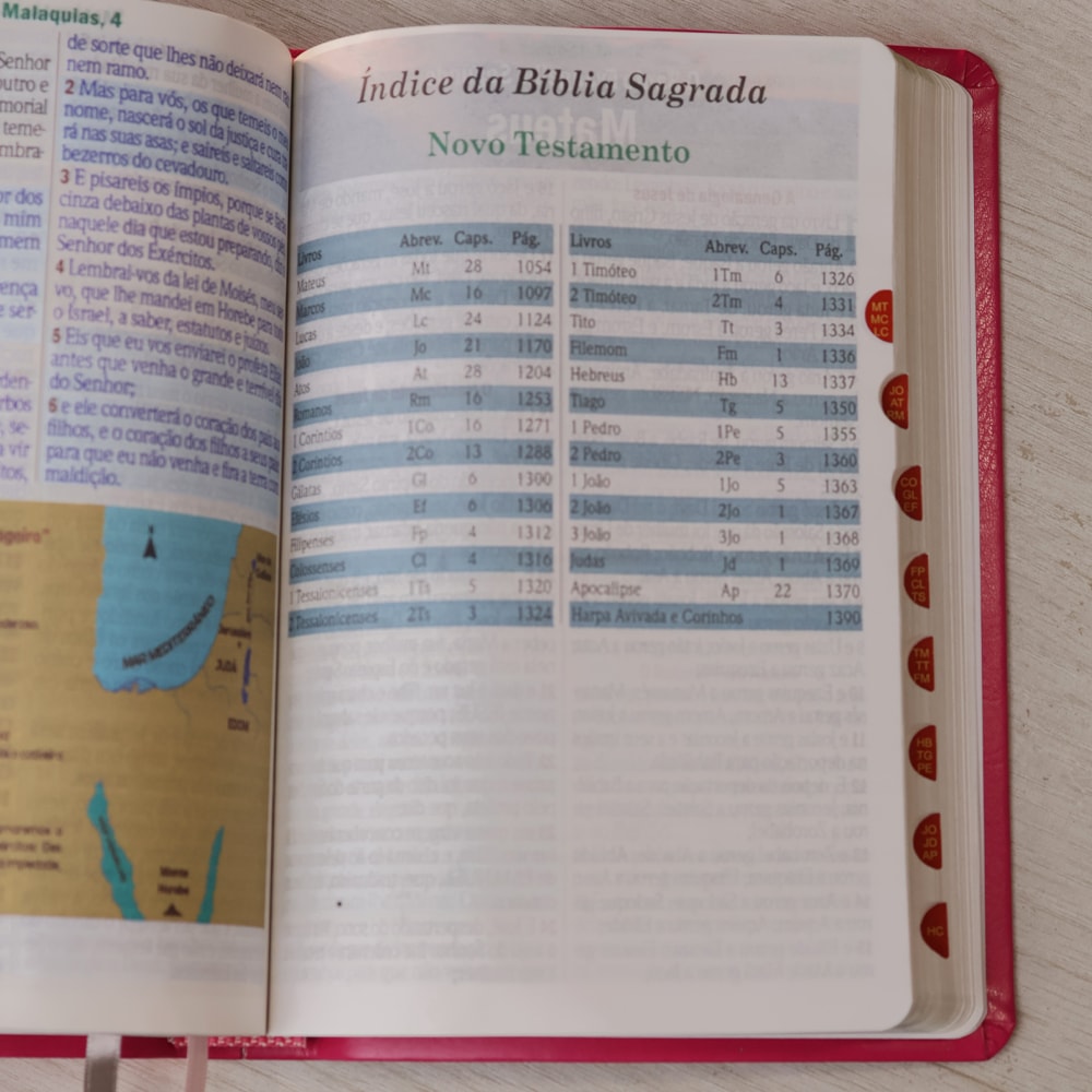 Bíblia Sagrada Floral Margarida | ARC | Hipergigante | Harpa Avivada e Corinhos | Capa Luxo Pink | Com Índice