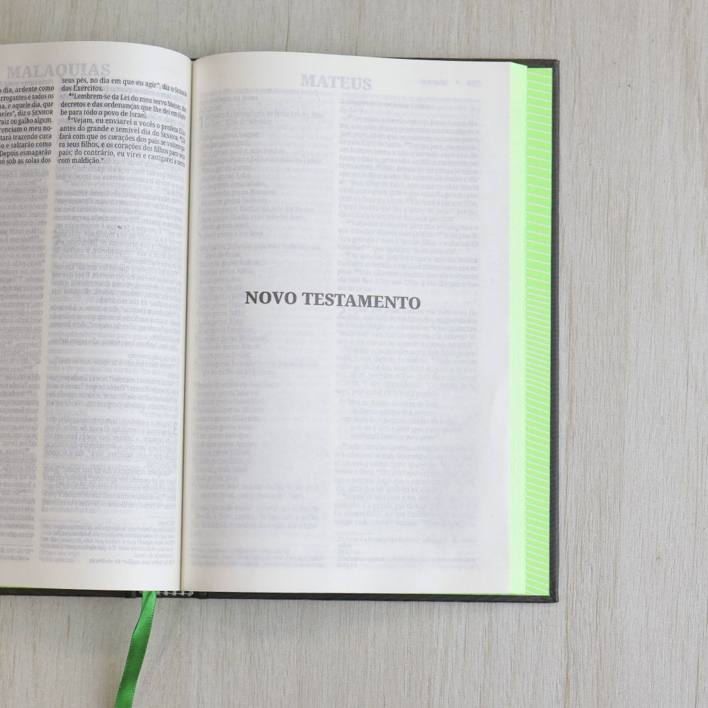Bíblia Sagrada | NVI | Neon Verde | Capa Dura