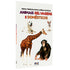 Livro "Minha Primeira Enciclopédia Bilíngue Animais Selvagens e Domésticos", capa com girafa, cachorro, coelho e chimpanzé. — Plenitude
