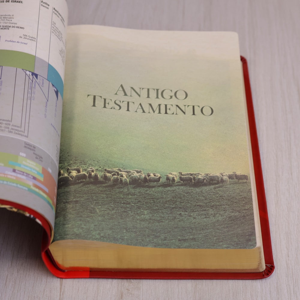 Bíblia de Estudo Igreja Primitiva | NAA | Capa Luxo Vermelha