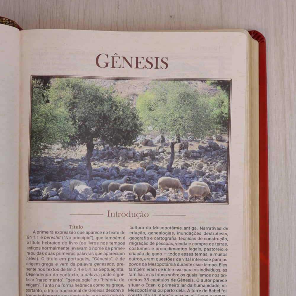 Bíblia de Estudo Igreja Primitiva | NAA | Capa Luxo Vermelha