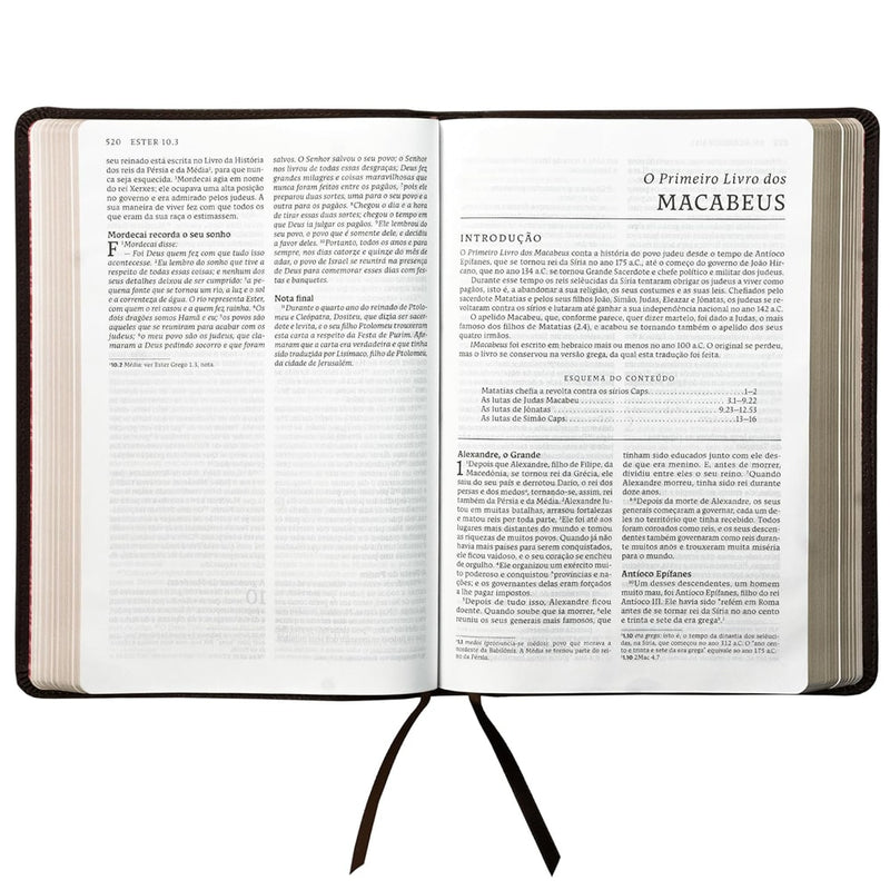 Bíblia Sagrada Católica | NTLH | Letra Grande | Couro Soft Marrom