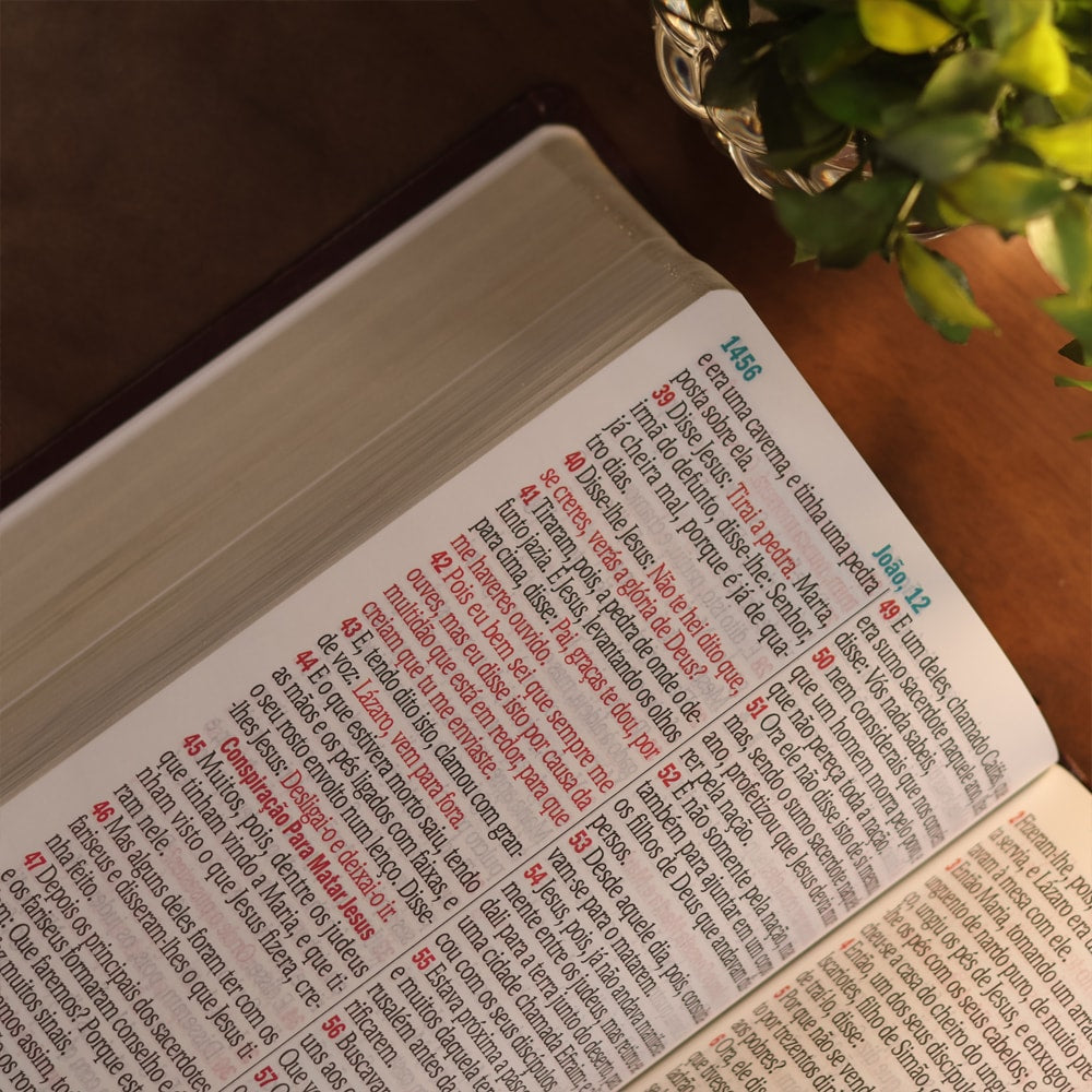 Bíblia Sagrada | Letra Jumbo | ARC | Harpa Avivada e Corinhos | Capa PU Luxo Arabesco Bordo