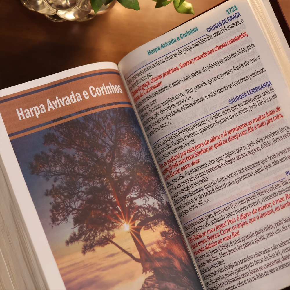 Bíblia Sagrada | Letra Jumbo | ARC | Harpa Avivada e Corinhos | Capa PU Luxo Arabesco Marrom