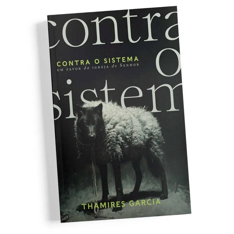 Contra o Sistema |  Thamires Garcia