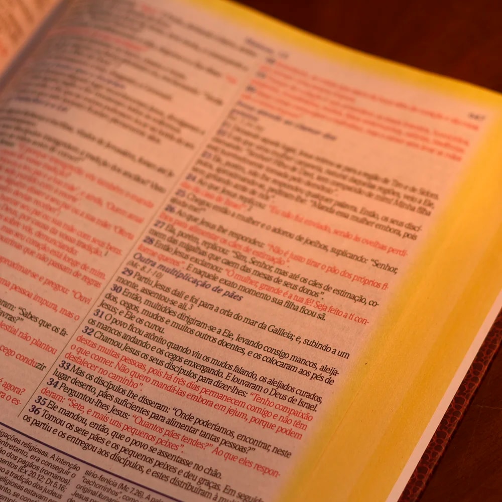 Bíblia de Estudo King James |  Atualizada |  Full Collor | Capa Dura | Vintage