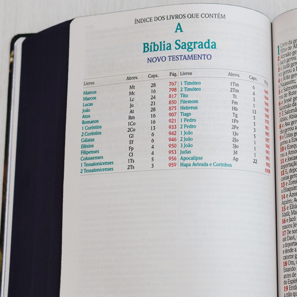 Bíblia Sagrada | ARC | Harpa Avivada e Corinhos | Jumbo | Capa Dura Preta