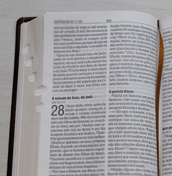 Bíblia Sagrada | NAA | Letra Gigante | Marrom Com Índice | Editora SBB