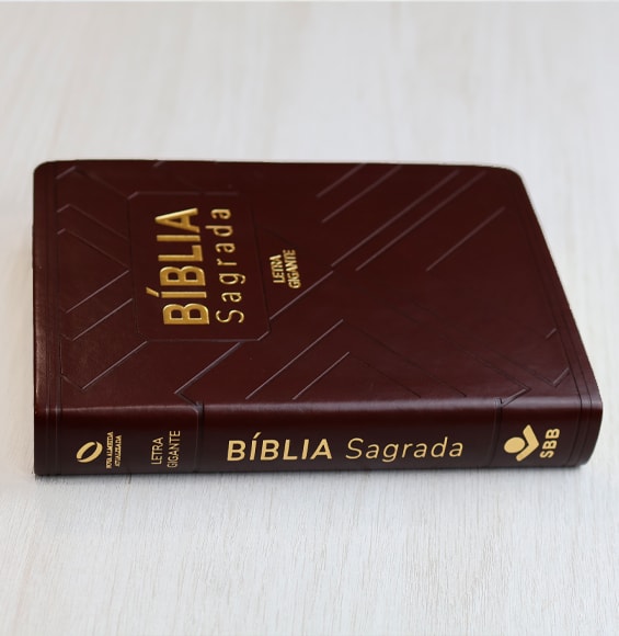 Bíblia Sagrada | NAA | Letra Gigante | Marrom Com Índice | Editora SBB