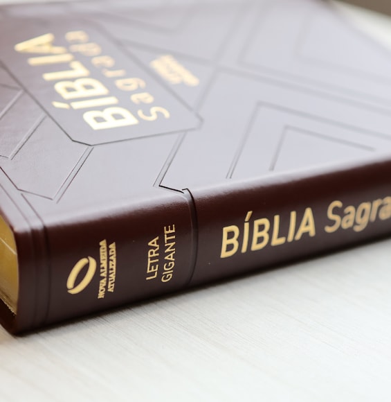 Bíblia Sagrada | NAA | Letra Gigante | Marrom Com Índice | Editora SBB