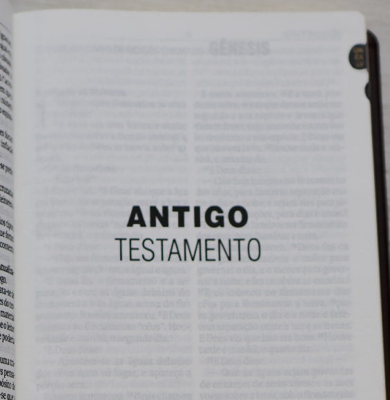 Bíblia Sagrada | NAA | Letra Gigante | Marrom Com Índice | Editora SBB