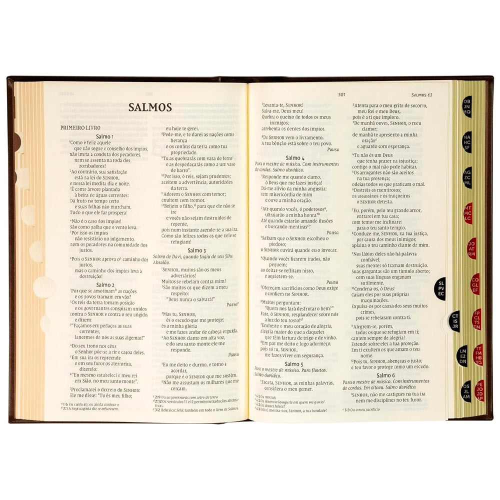 Bíblia NVI |  Letras de Jesus em Vermelho | Couro-Soft Sobre Capa Dura Marrom | Timóteo