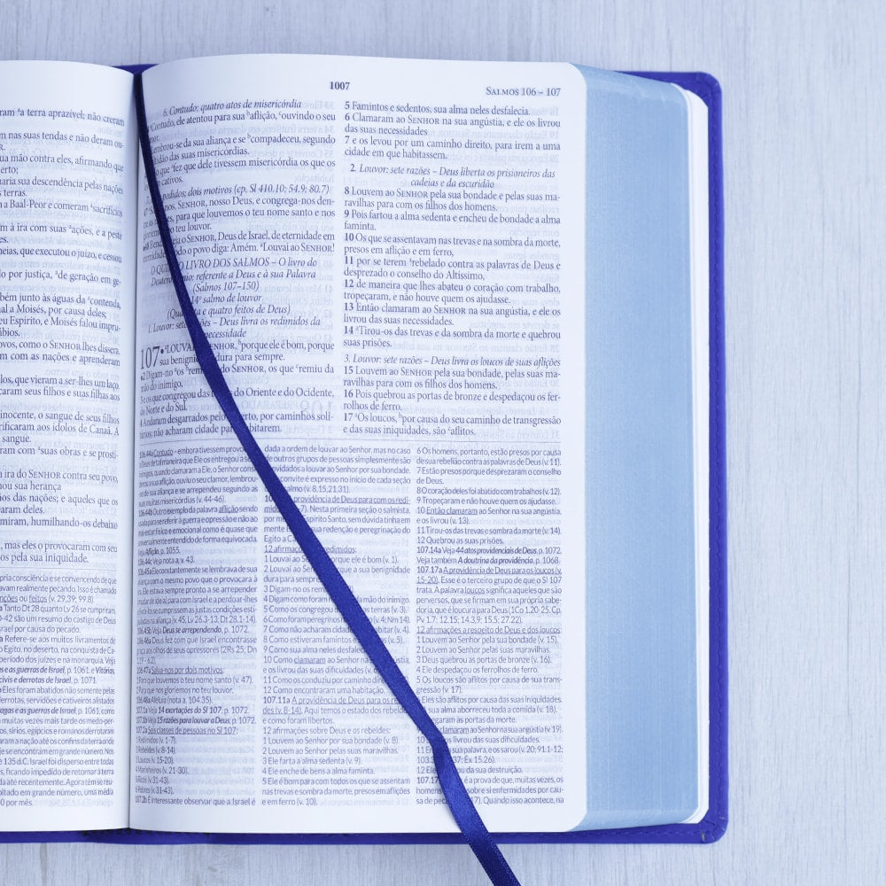 Bíblia de Estudo Dake |  Capa Luxo | ACC |  Letra Grande | Azul