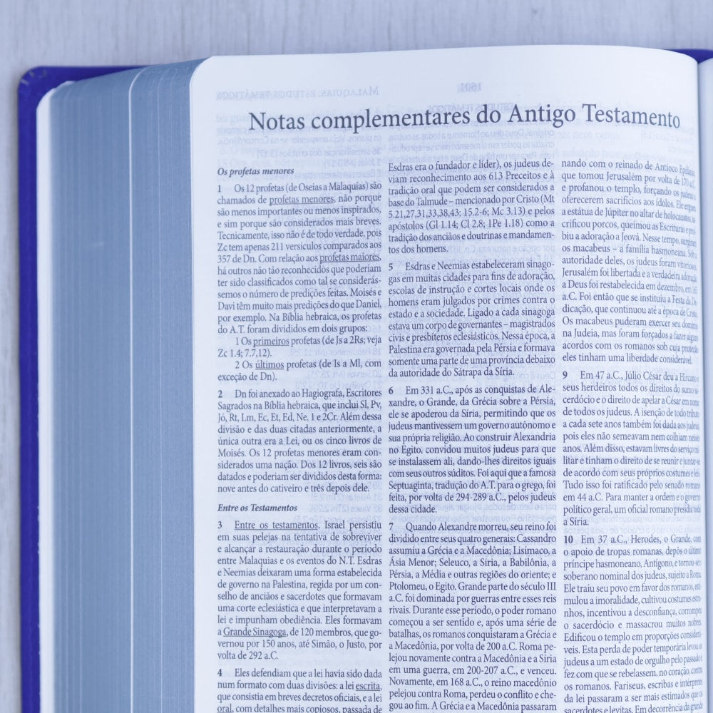 Bíblia de Estudo Dake |  Capa Luxo | ACC |  Letra Grande | Azul