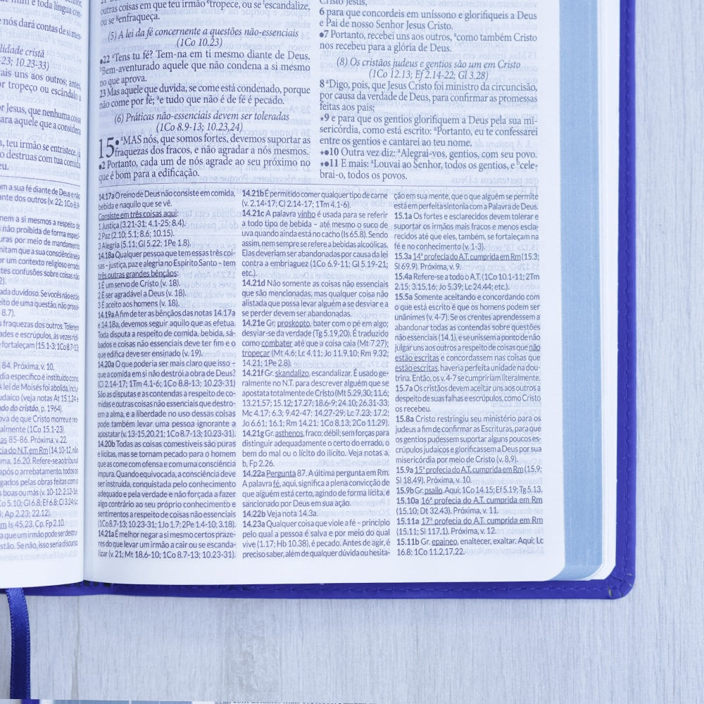 Bíblia de Estudo Dake |  Capa Luxo | ACC |  Letra Grande | Azul