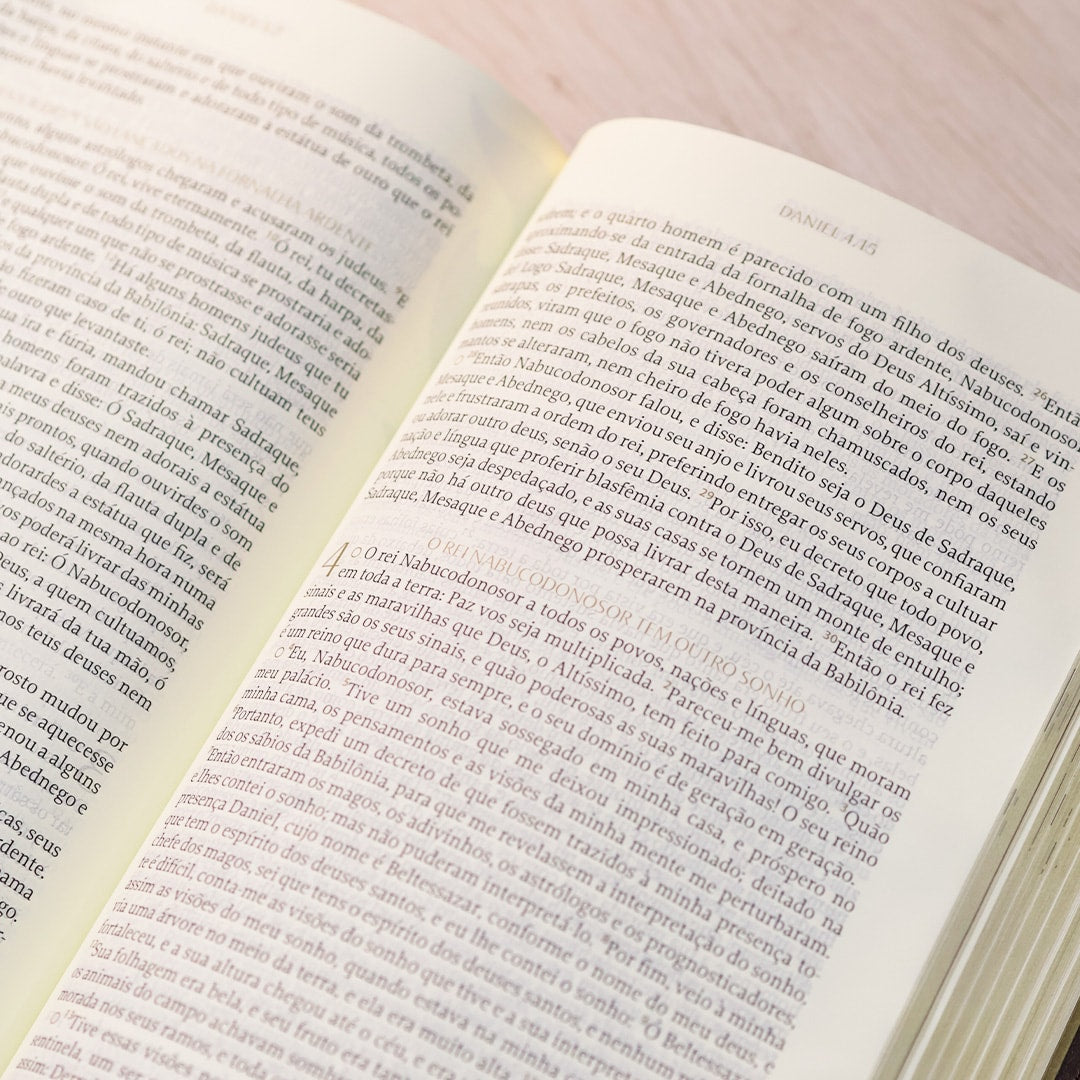 Bíblia The Purpose Book | A21 | Capa Couro Soft Marrom Cruz
