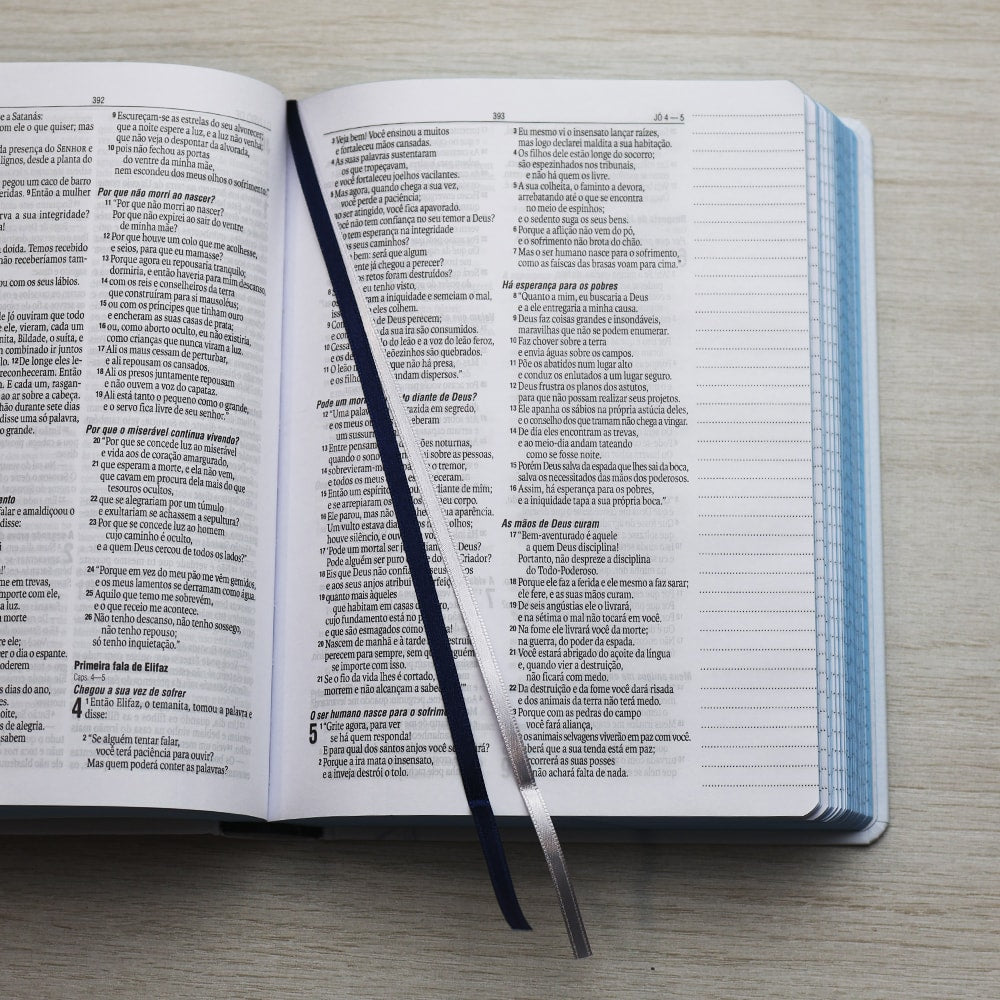 Bíblia Sagrada | Fonte de Sabedoria | NAA | Jornada |  Letra Grande