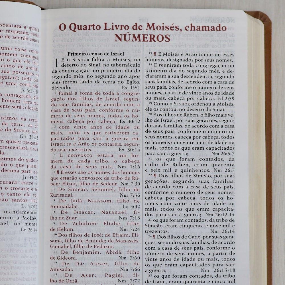 Bíblia King James Fiel 1611 | Concordância e Pilcrows | Capa Luxo Caramelo