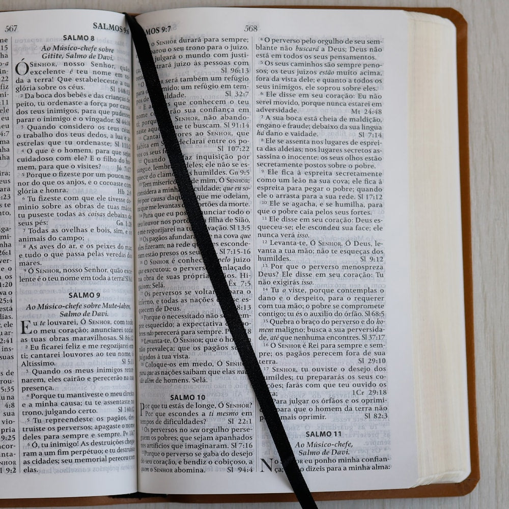 Bíblia King James Fiel 1611 | Concordância e Pilcrows | Capa Luxo Caramelo