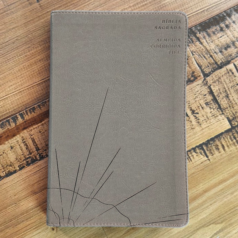 Biblia Sagrada Slim | ACF | Luxo Cinza