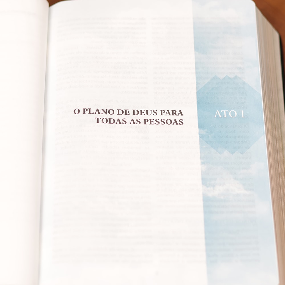 Bíblia Cronológica Dia a Dia | King James 1611 | Capa Dura Preta