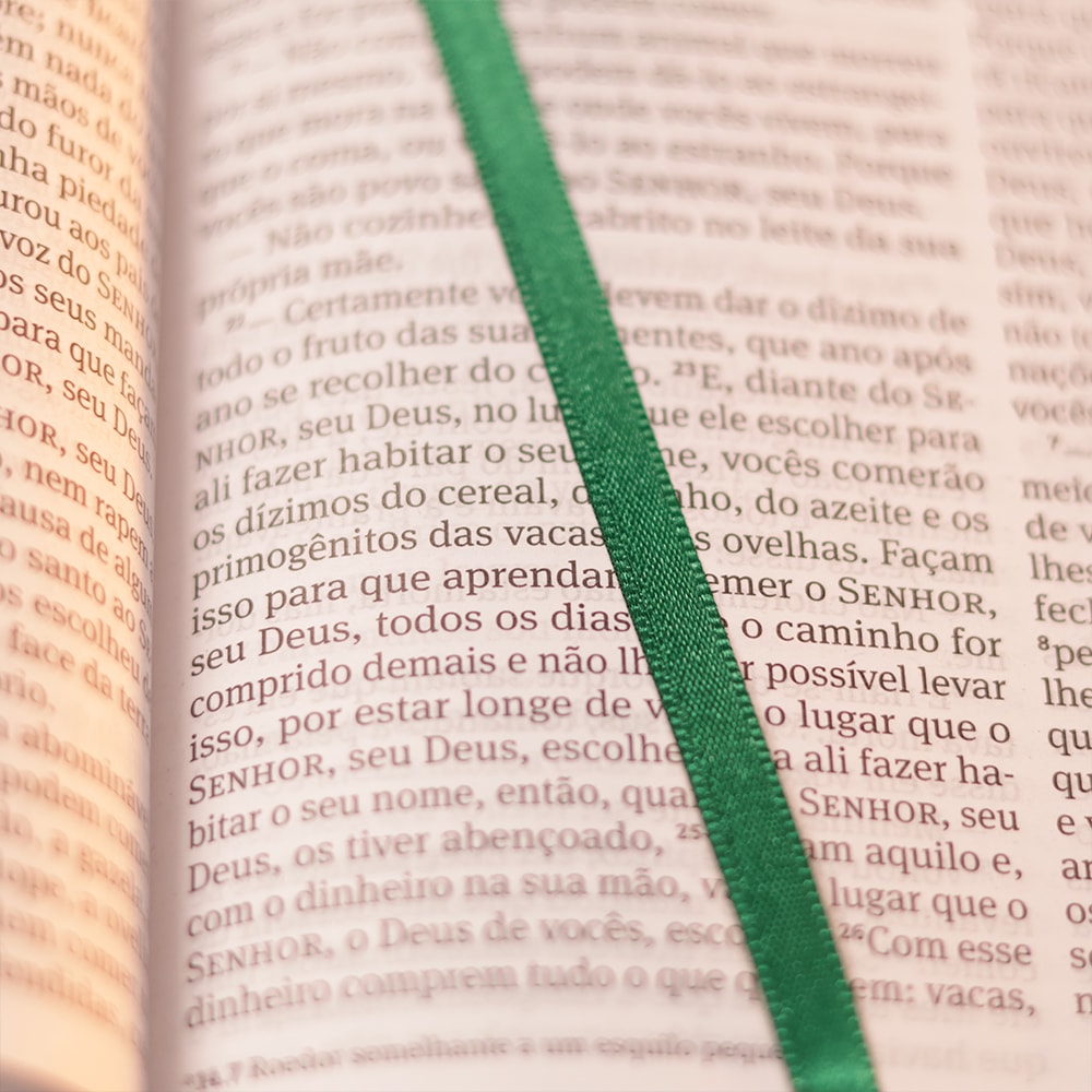 Bíblia 365 Verde | NAA | Capa Dura
