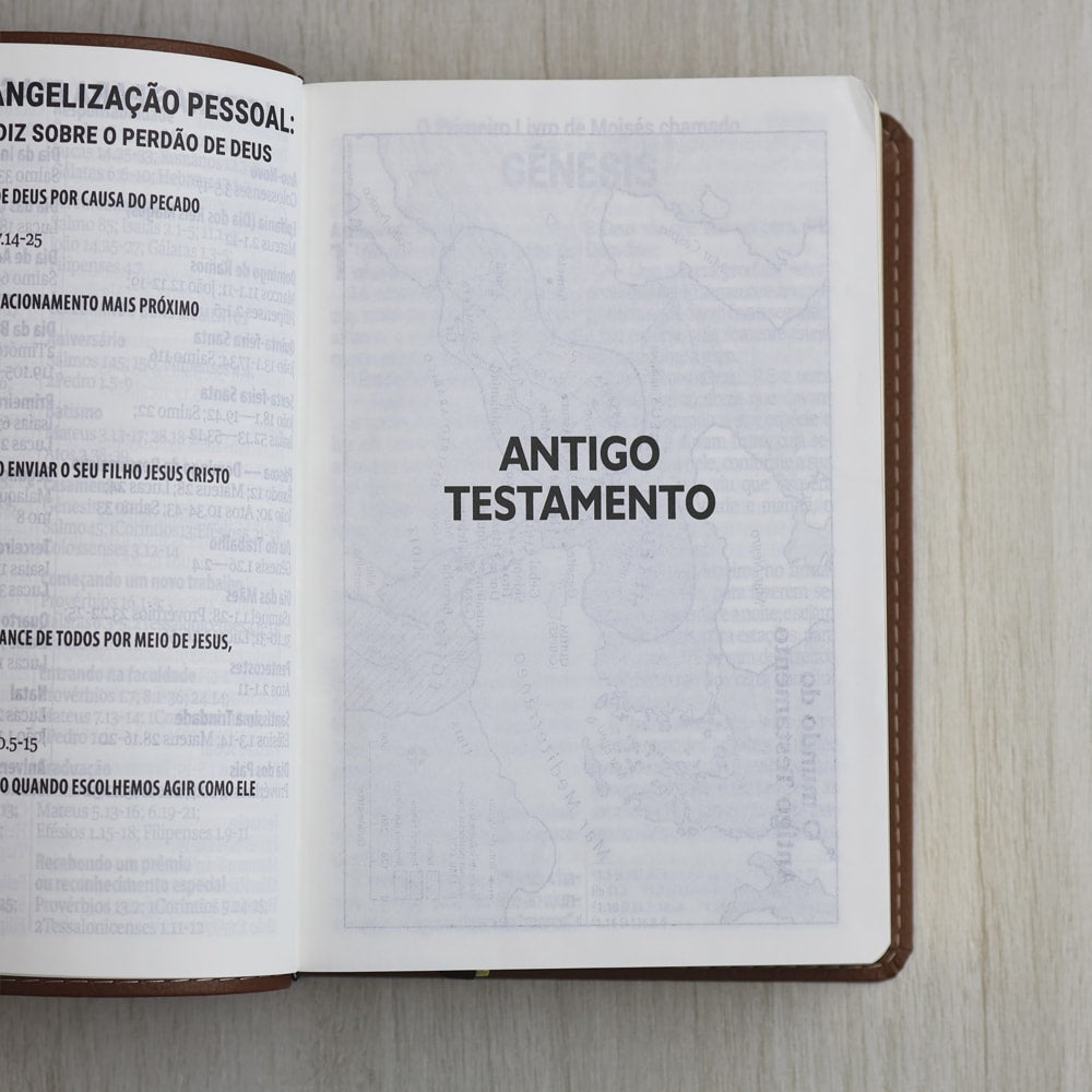 Bíblia Sagrada | Letra Supergigante |  NAA | Capa Marrom Leão