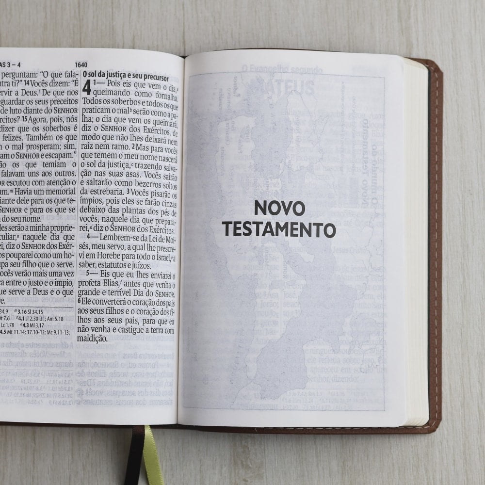 Bíblia Sagrada | Letra Supergigante |  NAA | Capa Marrom Leão