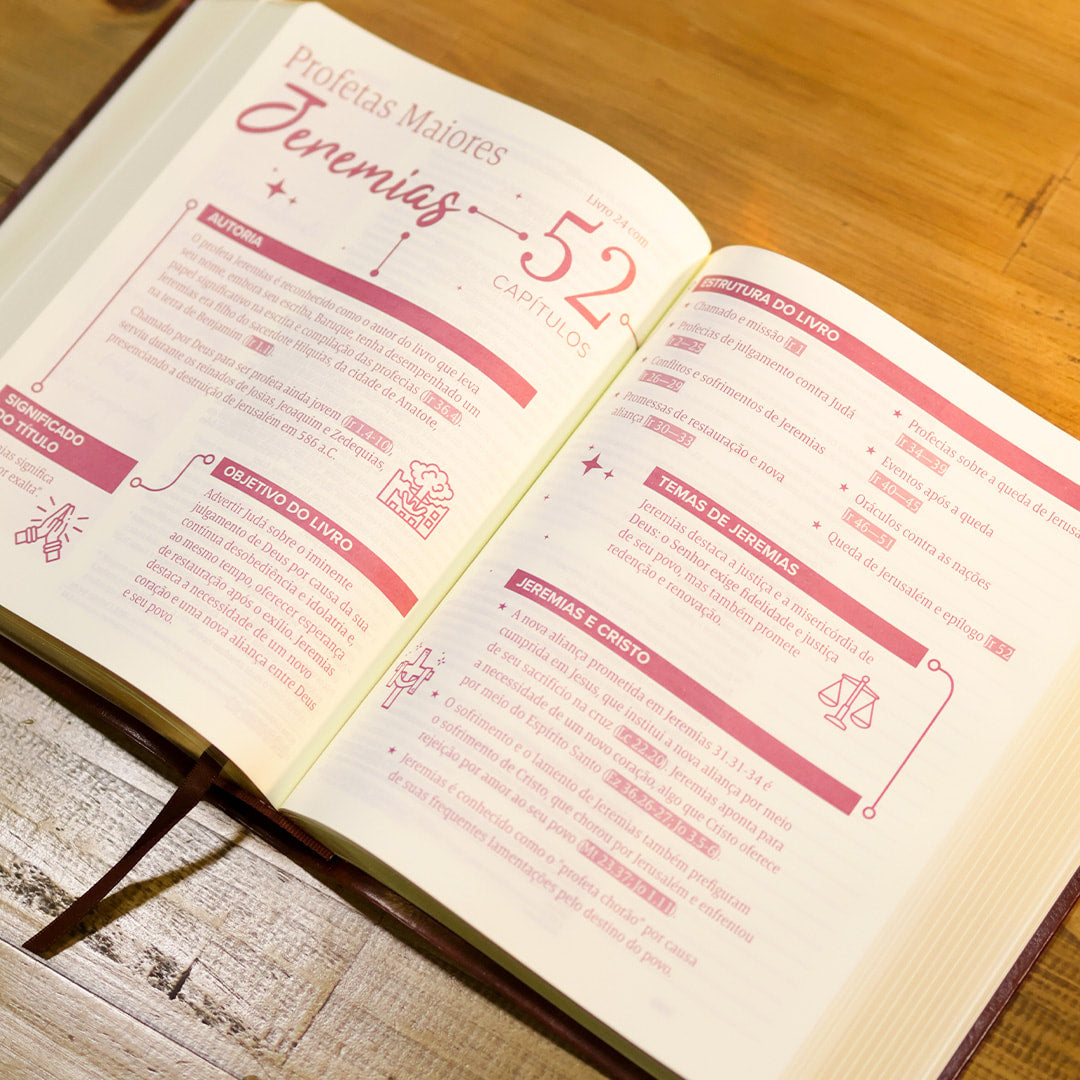 Bíblia Mulheres | Viviane Martinello | NVT | Espaço Para Anotações | Capa Luxo Vinho Floral